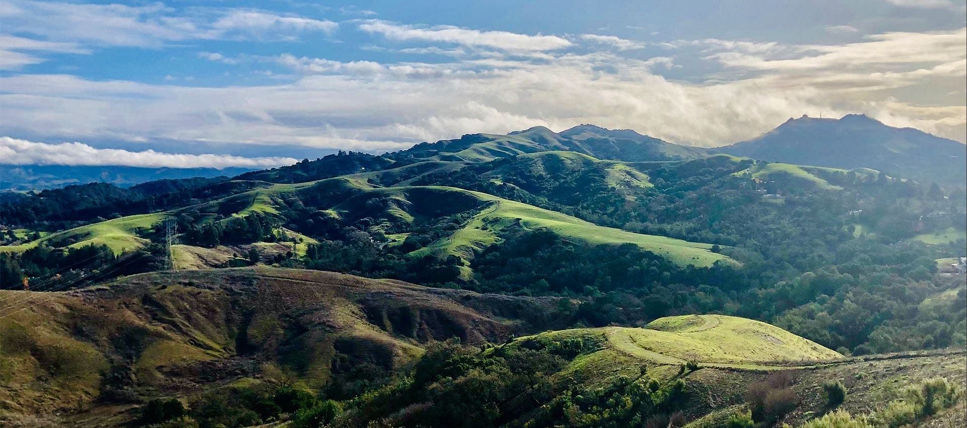 An aerial view of a green coastal valley with hills and trees during a typhoon.